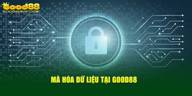 Chính sách bảo mật Good88 mới nhất hội viên cần nắm rõ 5 Chính sách bảo mật nhà cái không tự ý chia sẻ dữ liệu